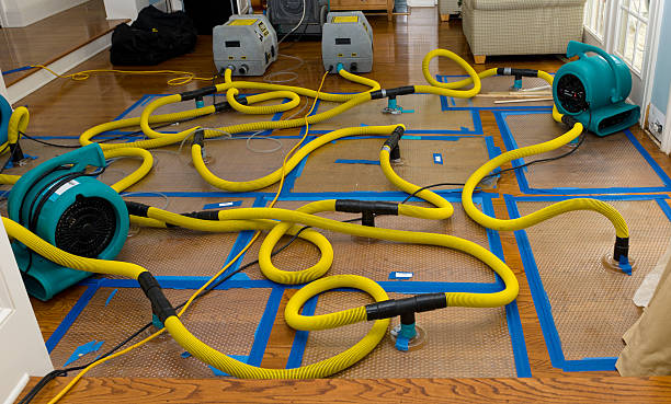 Professional Crawl Space Water Removal technician working in Brownsville, OR